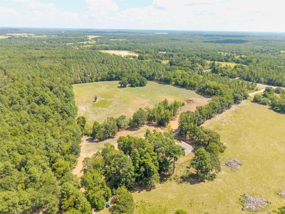 Cr 3365 Lovelady, TX 75851