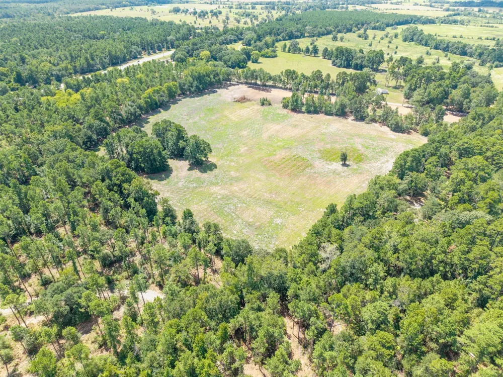 Cr 3365 Lovelady, TX 75851