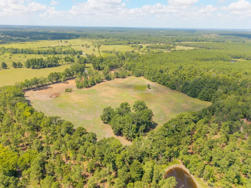 Cr 3365 Lovelady, TX 75851