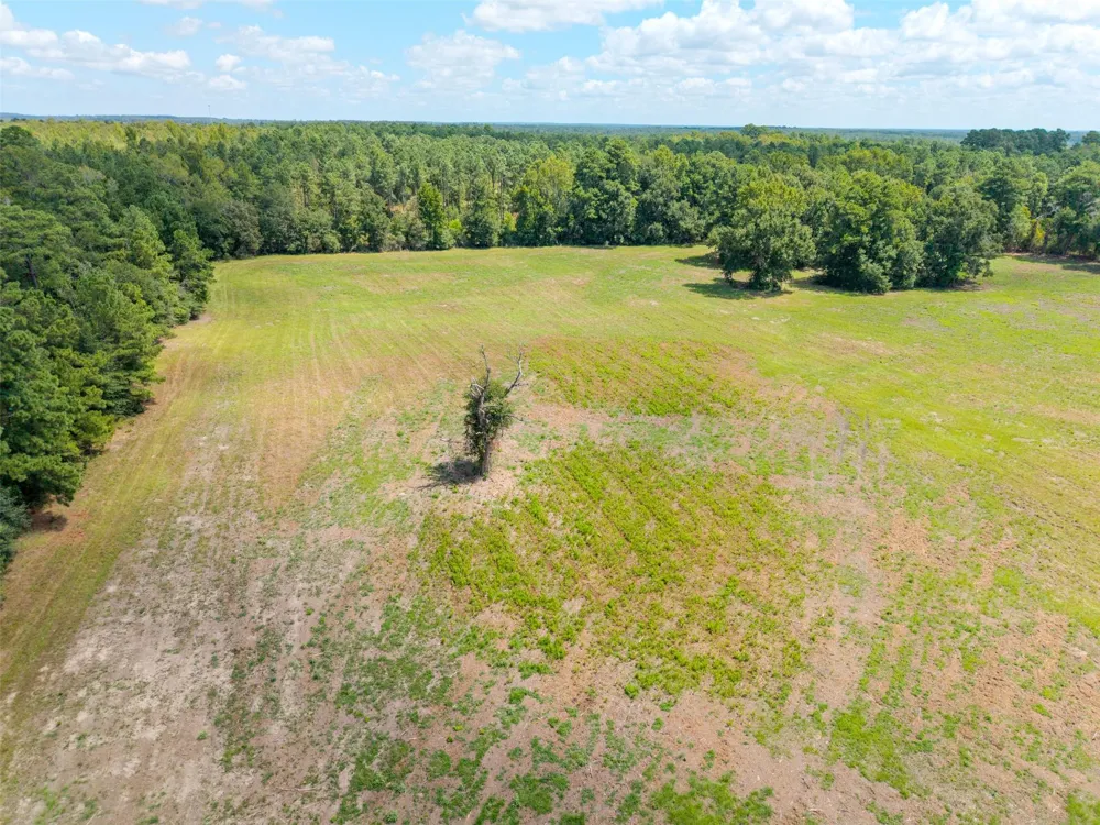Cr 3365 Lovelady, TX 75851