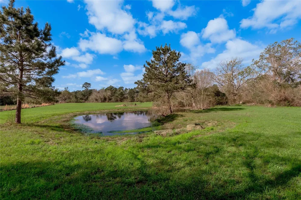 2155 W Us Highway 287 Groveton, TX 75845