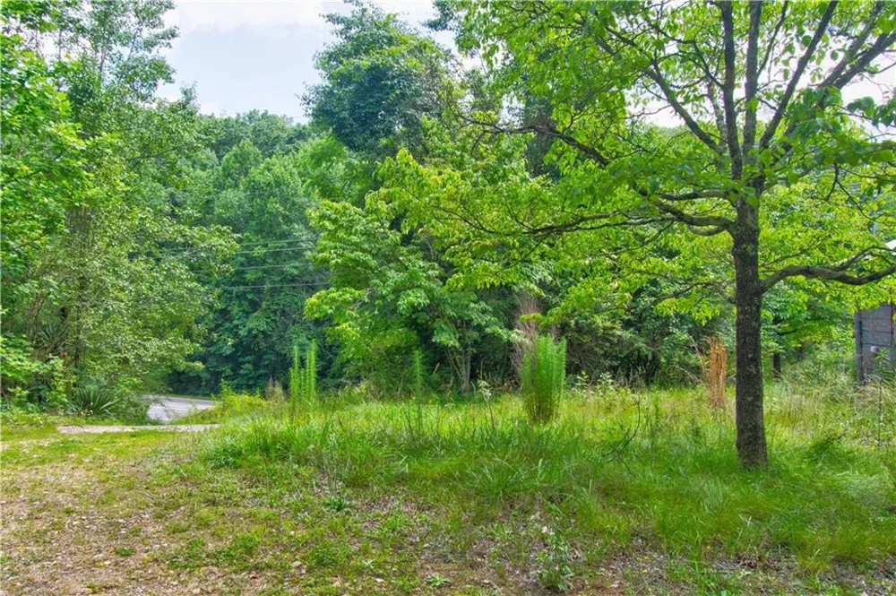 6439 S Chestatee Street Dahlonega, GA 30533
