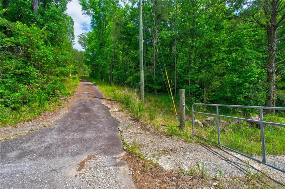 6439 S Chestatee Street Dahlonega, GA 30533