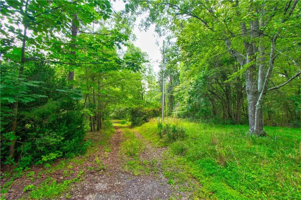 6439 S Chestatee Street Dahlonega, GA 30533