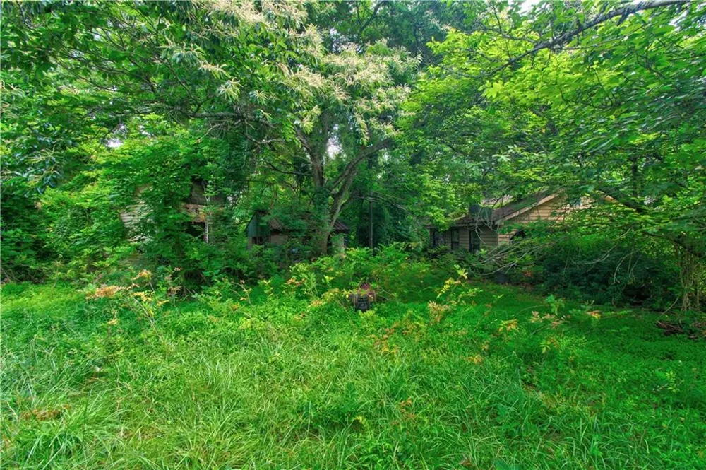 6439 S Chestatee Street Dahlonega, GA 30533