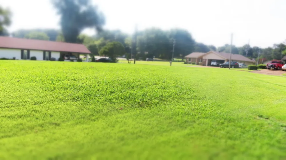 19 Wallace Cv Jackson, TN 38305