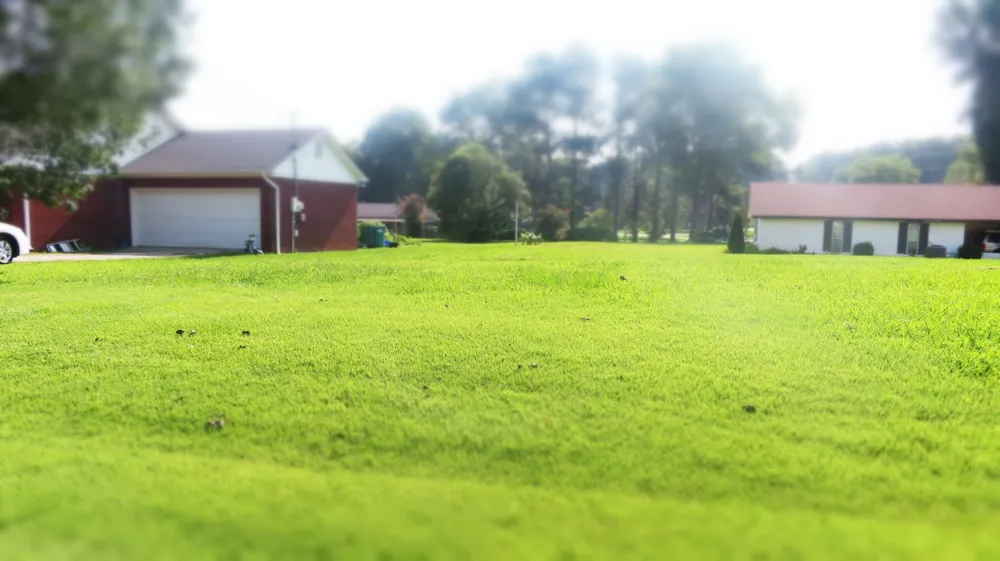 19 Wallace Cv Jackson, TN 38305