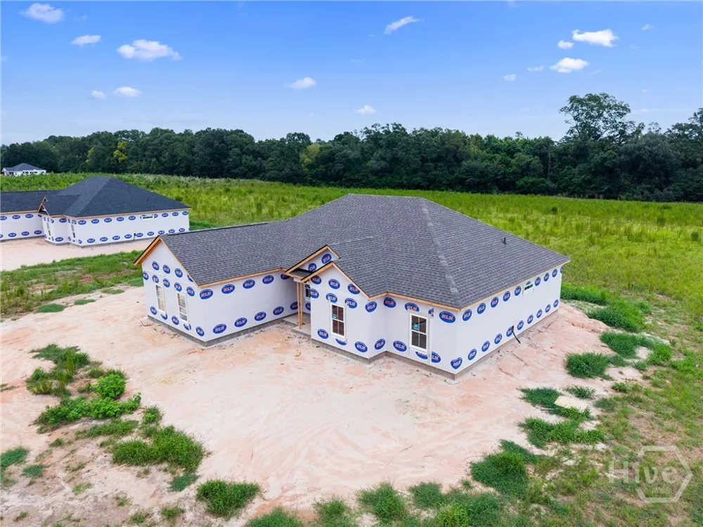 309 Mock Street Sylvania, GA 30467