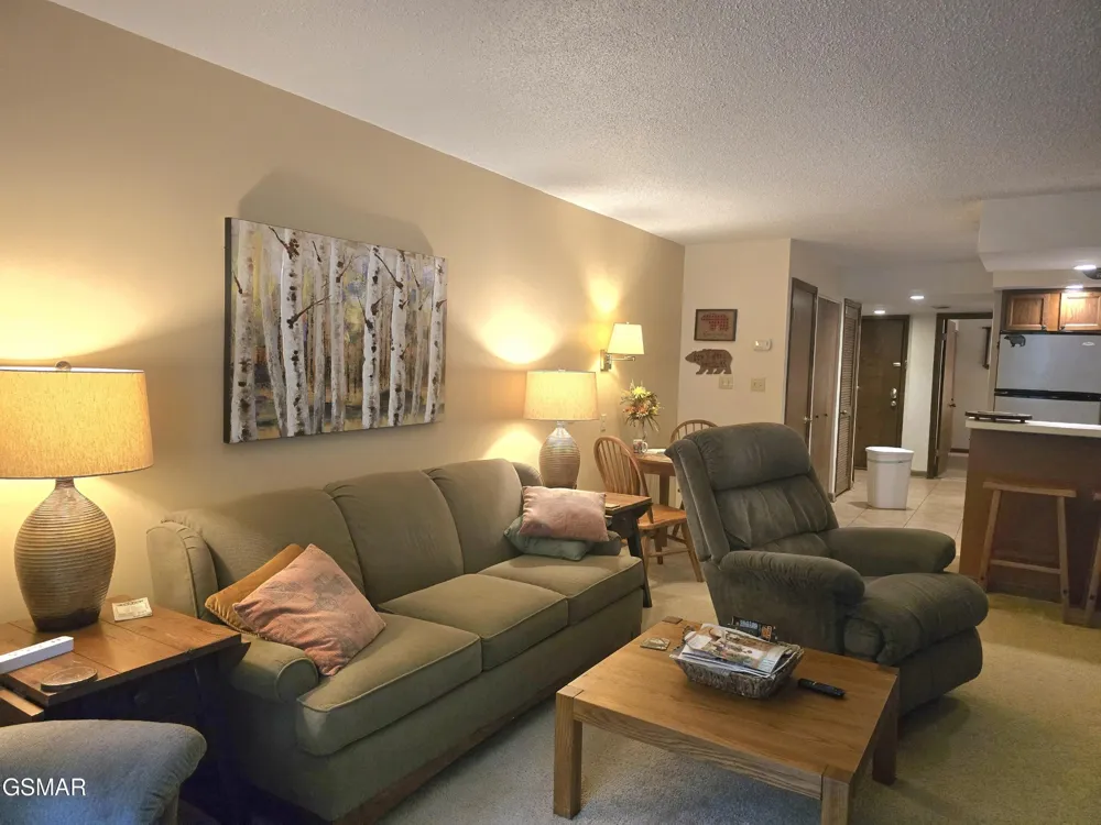 1435 Wiley Oakley Drive #151 Gatlinburg, TN 37738