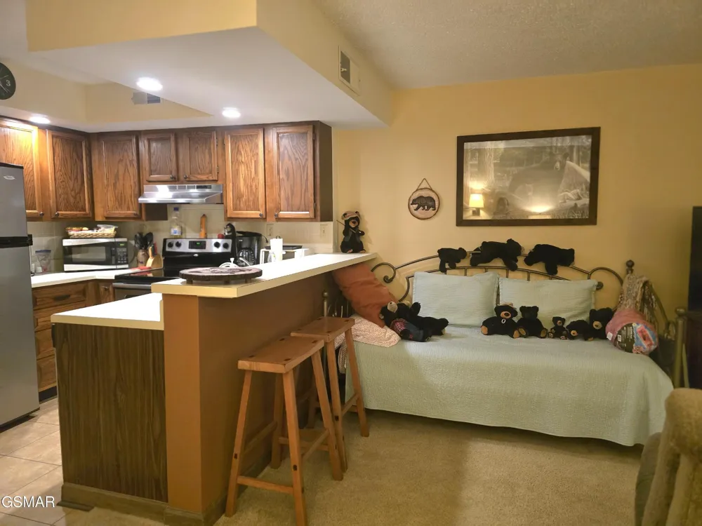 1435 Wiley Oakley Drive #151 Gatlinburg, TN 37738