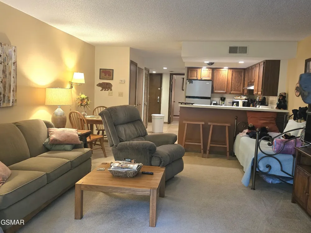 1435 Wiley Oakley Drive #151 Gatlinburg, TN 37738
