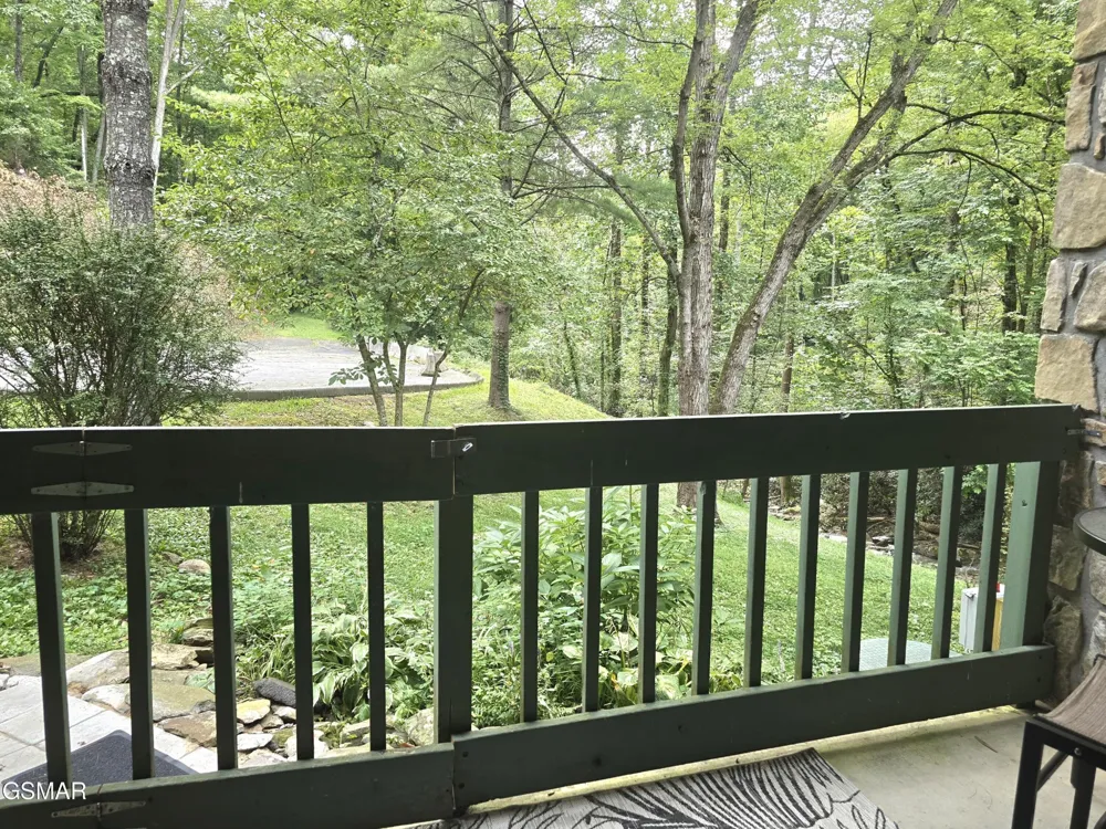 1435 Wiley Oakley Drive #151 Gatlinburg, TN 37738