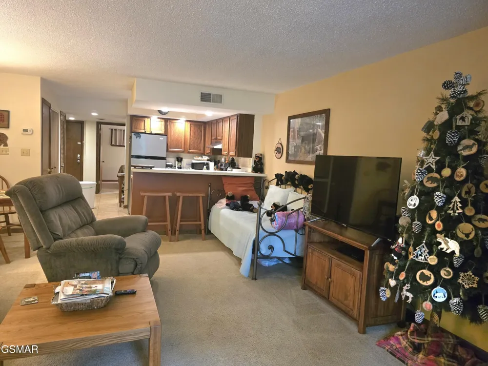 1435 Wiley Oakley Drive #151 Gatlinburg, TN 37738