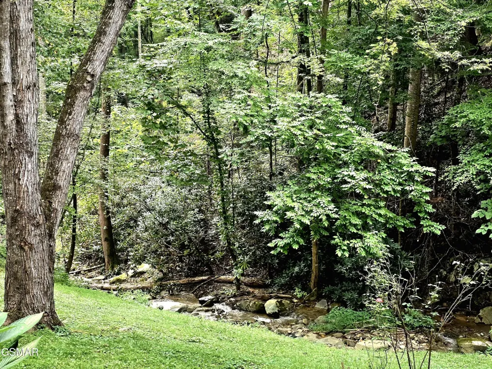 1435 Wiley Oakley Drive #151 Gatlinburg, TN 37738