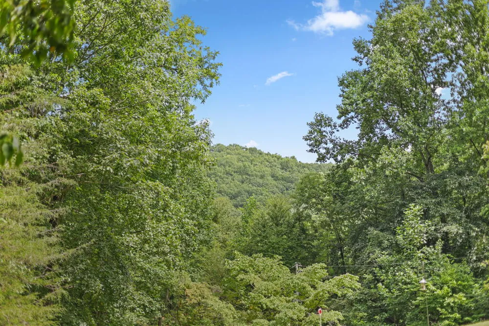 South Skeenah Road Franklin, NC 28734