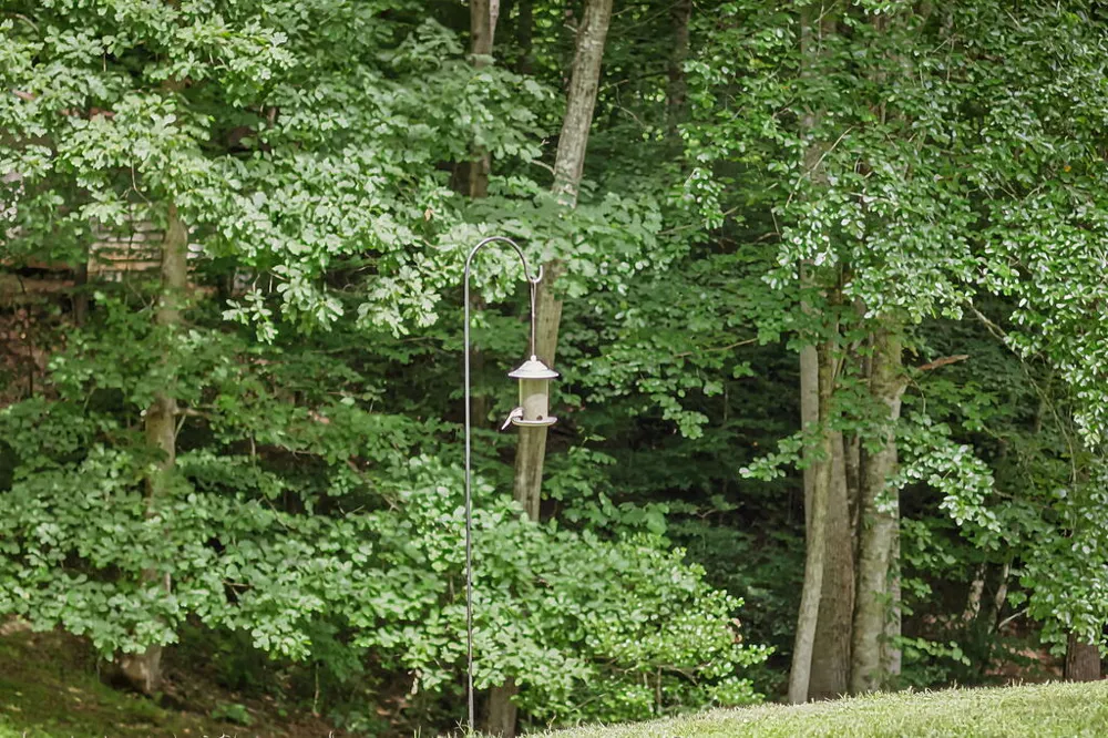 South Skeenah Road Franklin, NC 28734