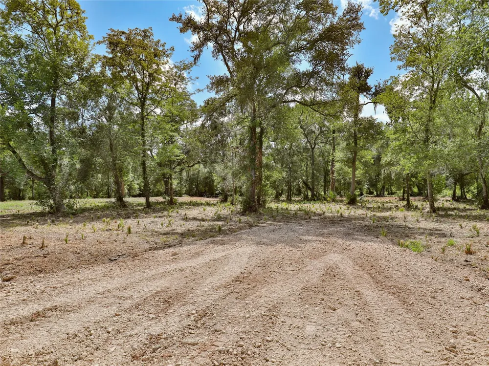 2301 Cr 851 Brazoria, TX 77422