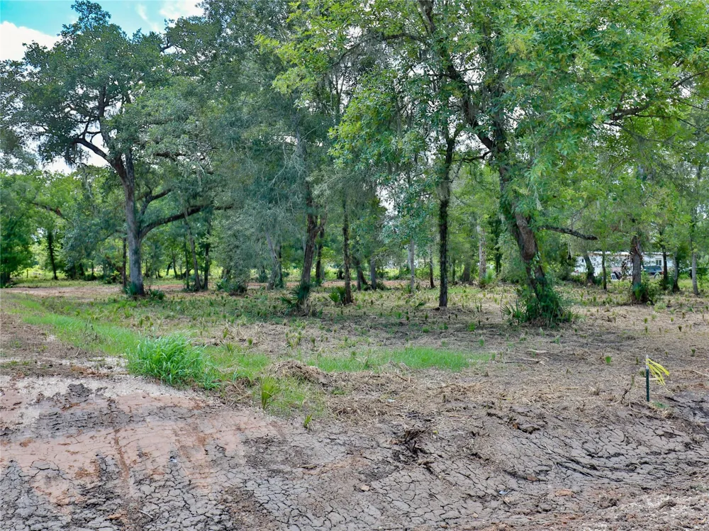 2301 Cr 851 Brazoria, TX 77422