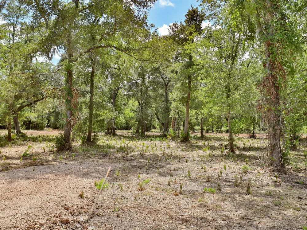 2301 Cr 851 Brazoria, TX 77422