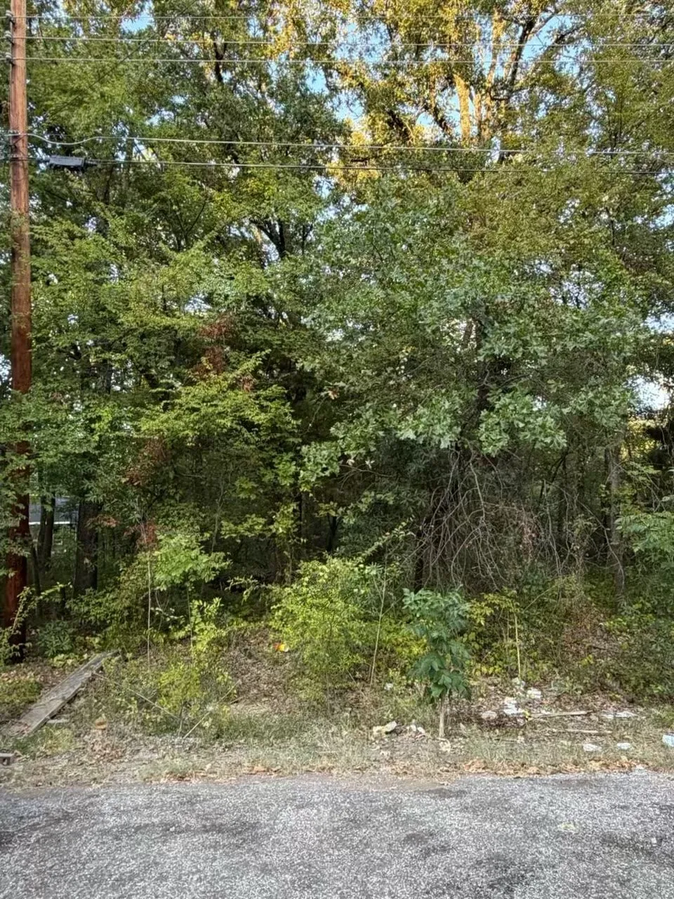 132 Chapperall Drive Mabank, TX 75156