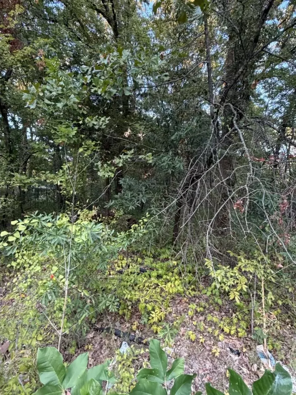 132 Chapperall Drive Mabank, TX 75156