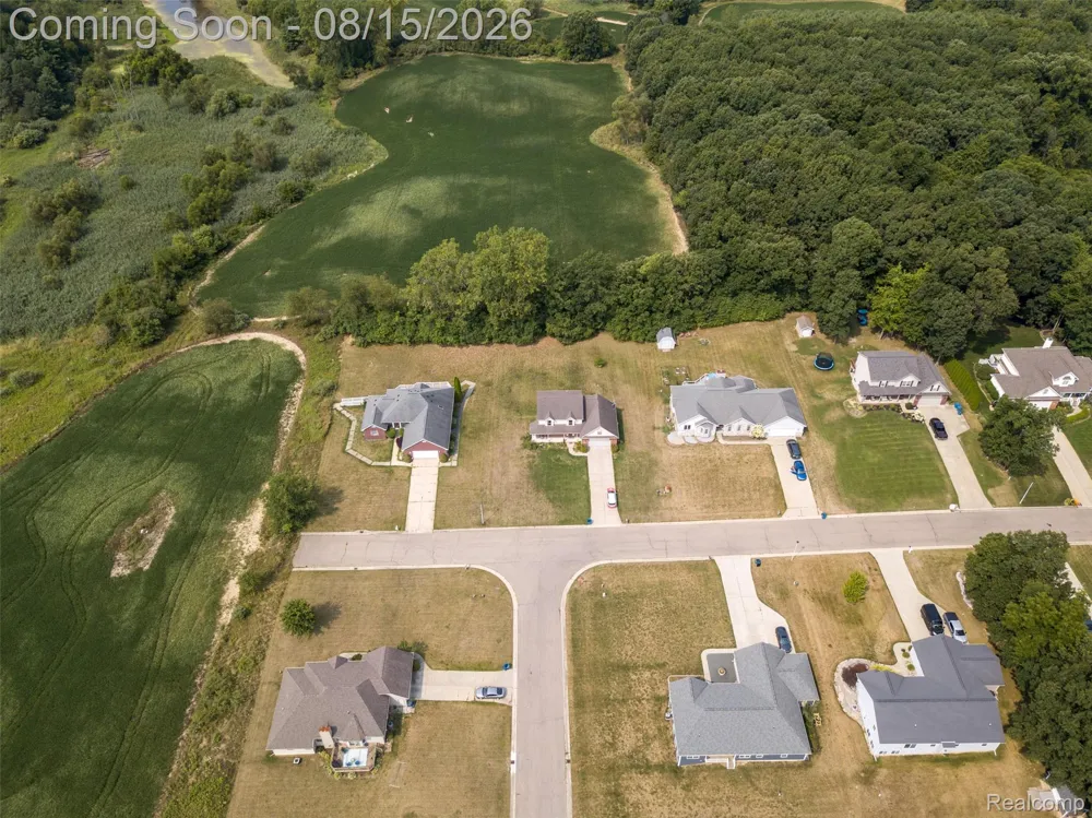 8376 Oak Ridge Drive Atlas Township, MI 48438
