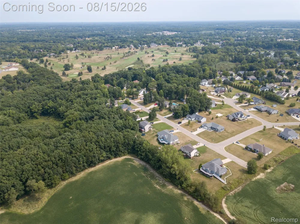 8376 Oak Ridge Drive Atlas Township, MI 48438