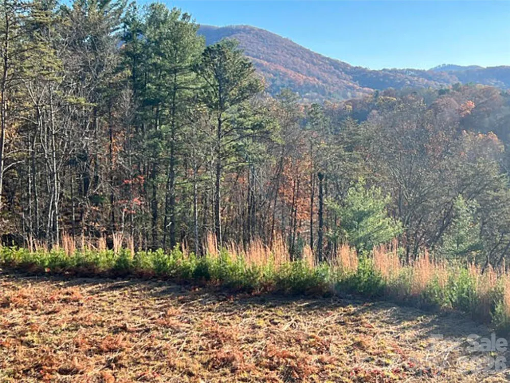 165 Riverbend Forest Drive #11 Asheville, NC 28805