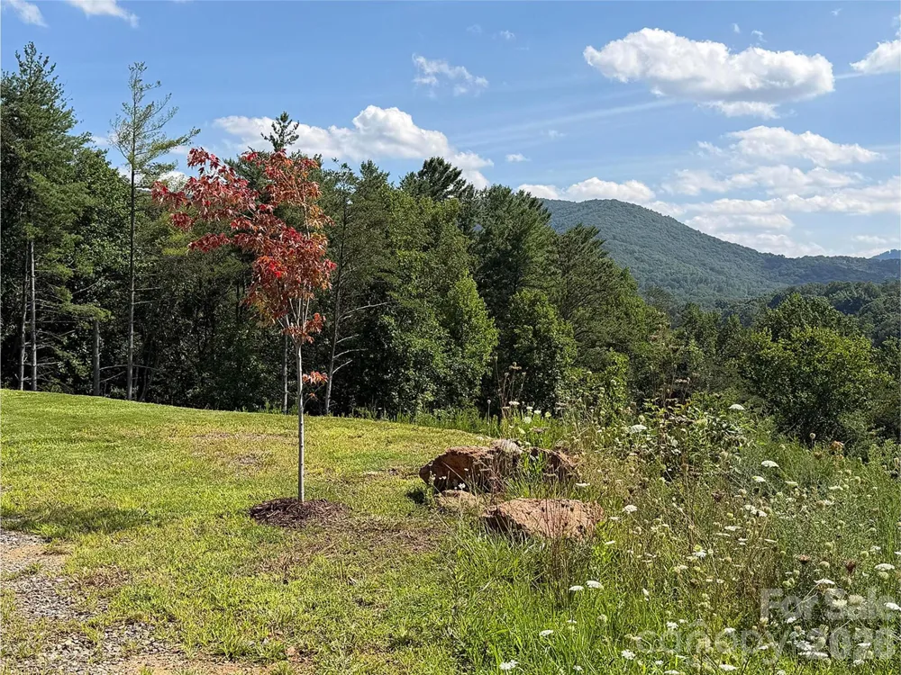 165 Riverbend Forest Drive #11 Asheville, NC 28805