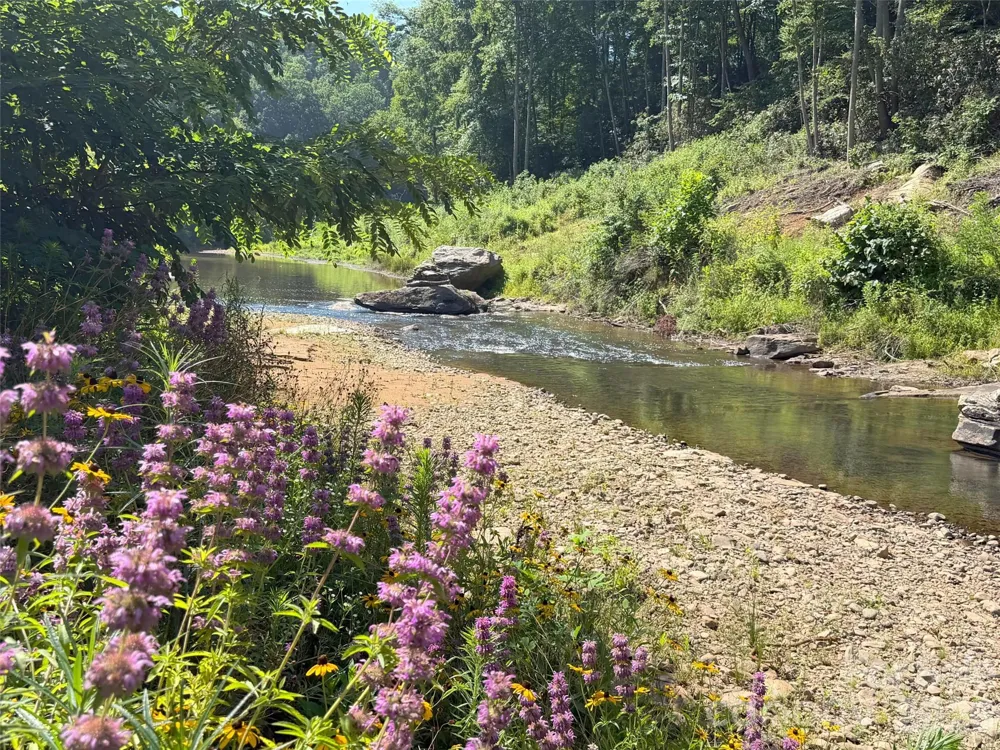 165 Riverbend Forest Drive #11 Asheville, NC 28805
