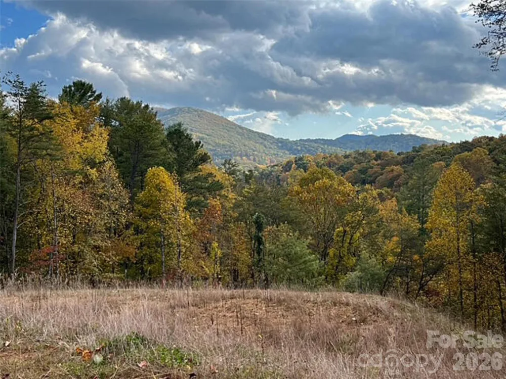 165 Riverbend Forest Drive #11 Asheville, NC 28805