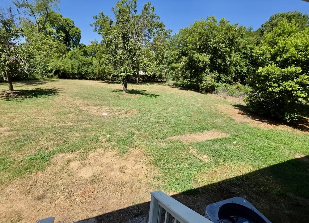 208 Miller Street Mount Vernon, TX 75457