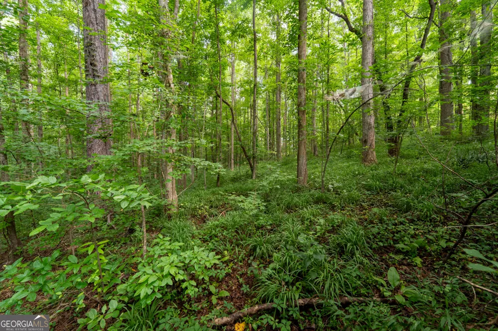 309 Calusa PL Ball Ground, GA 30107