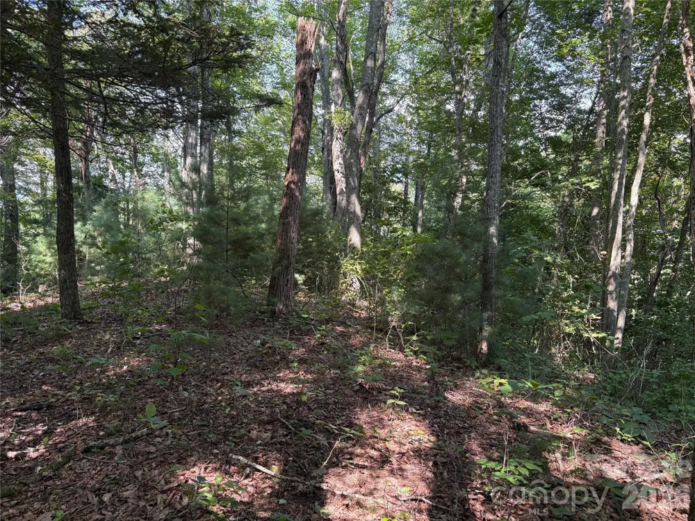 00 Early Frost Place #98 Waynesville, NC 28785