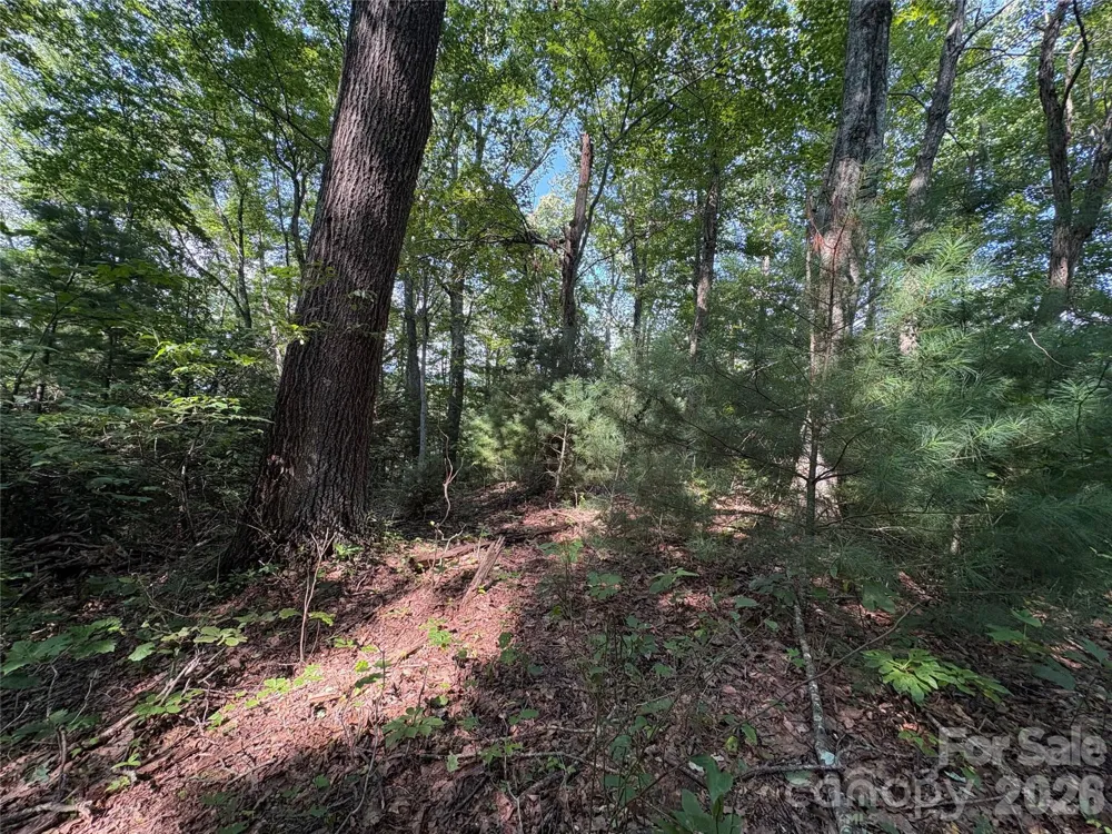 00 Early Frost Place #98 Waynesville, NC 28785