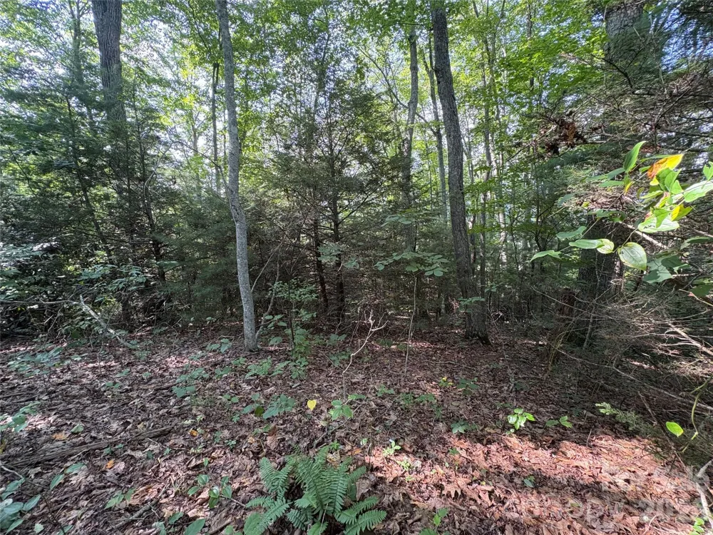 00 Early Frost Place #98 Waynesville, NC 28785
