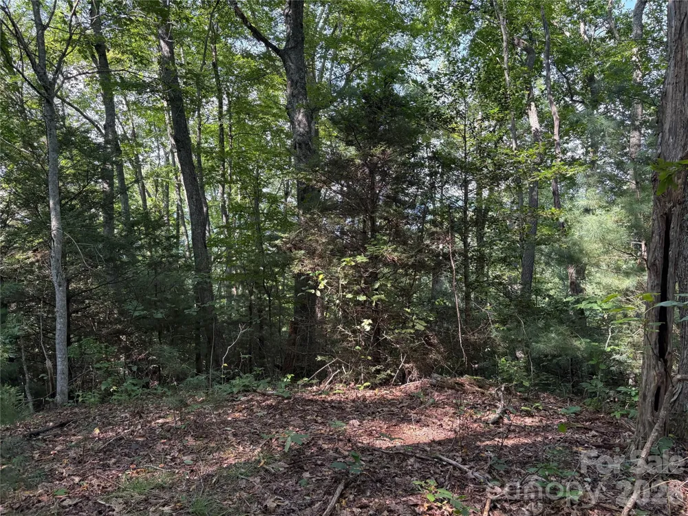 00 Early Frost Place #98 Waynesville, NC 28785