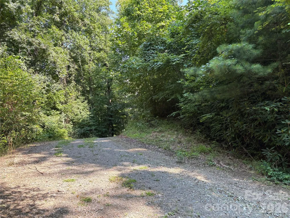 00 Early Frost Place #98 Waynesville, NC 28785