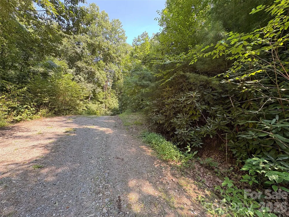 00 Early Frost Place #98 Waynesville, NC 28785