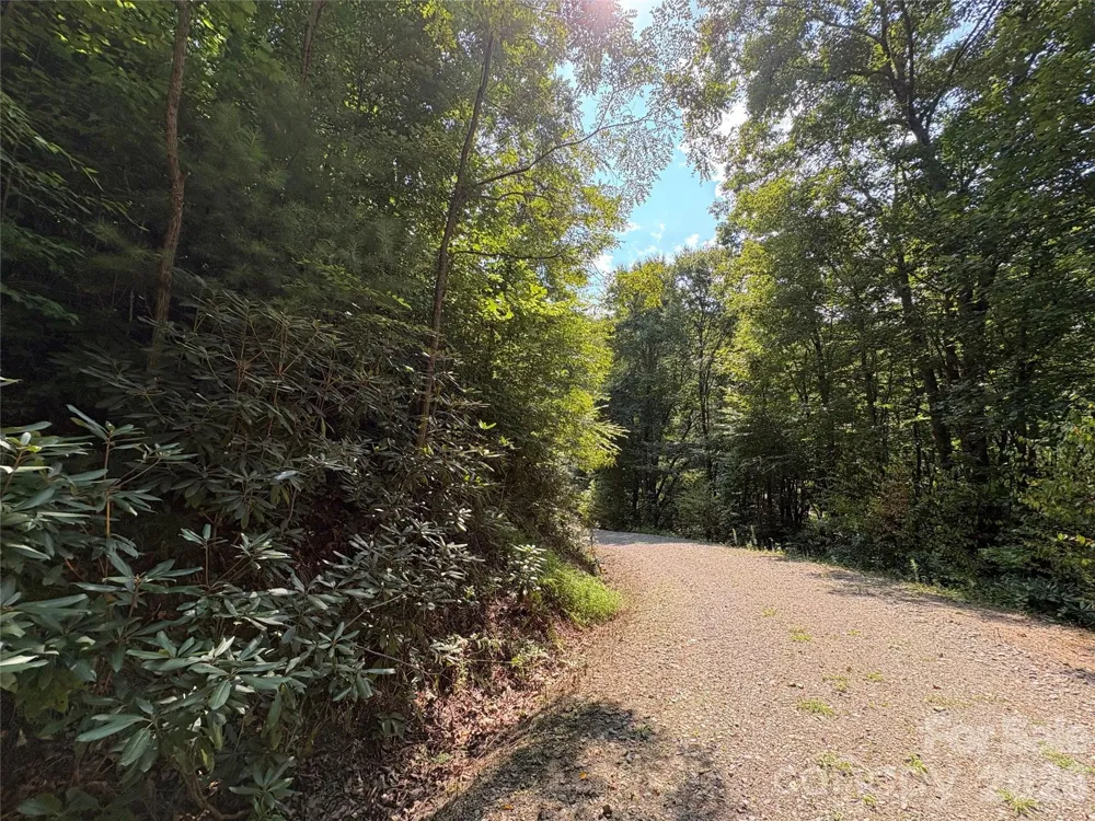 00 Early Frost Place #98 Waynesville, NC 28785