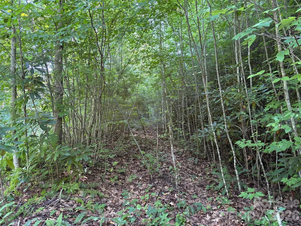 00 Early Frost Place #98 Waynesville, NC 28785
