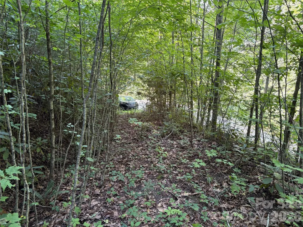 00 Early Frost Place #98 Waynesville, NC 28785