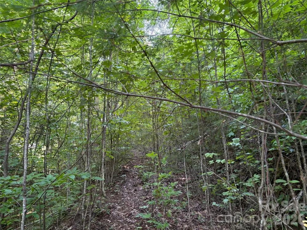 00 Early Frost Place #98 Waynesville, NC 28785