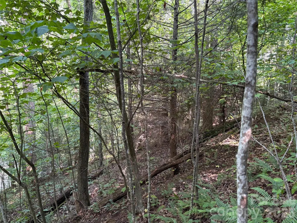 00 Early Frost Place #98 Waynesville, NC 28785