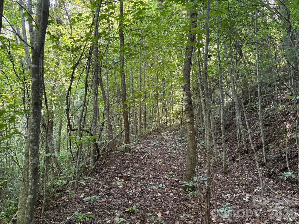 00 Early Frost Place #98 Waynesville, NC 28785