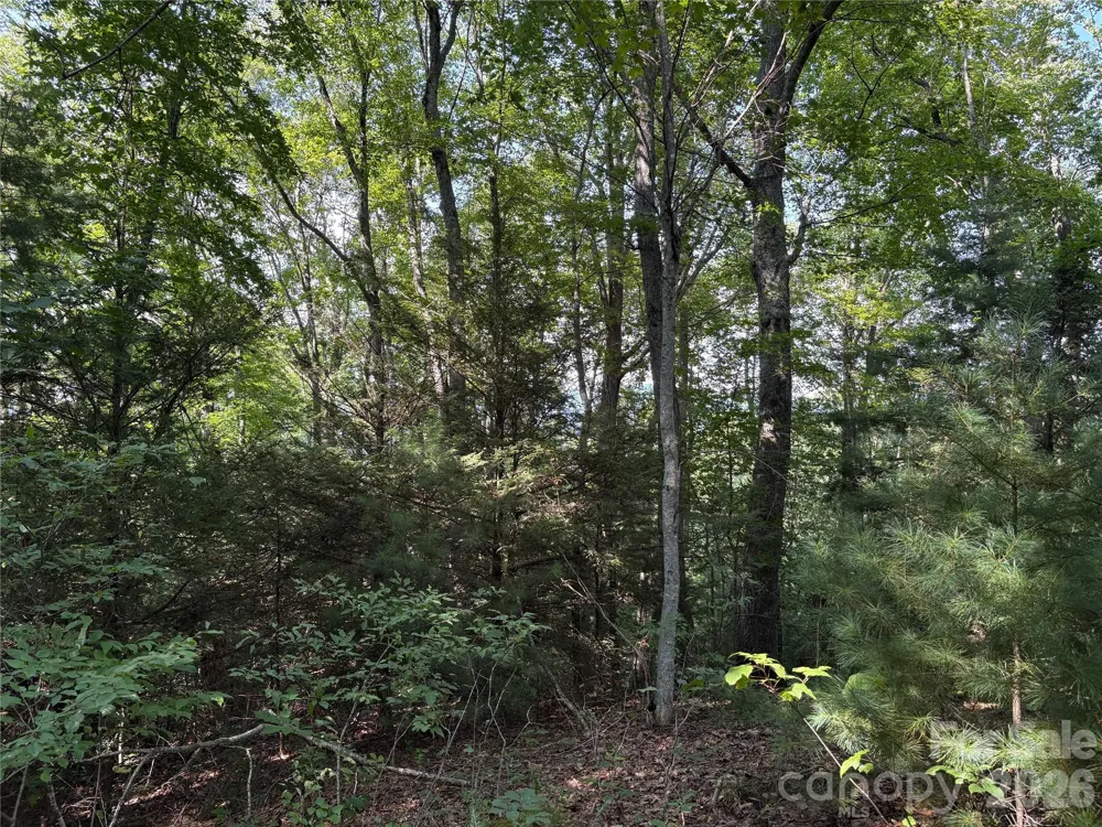 00 Early Frost Place #98 Waynesville, NC 28785