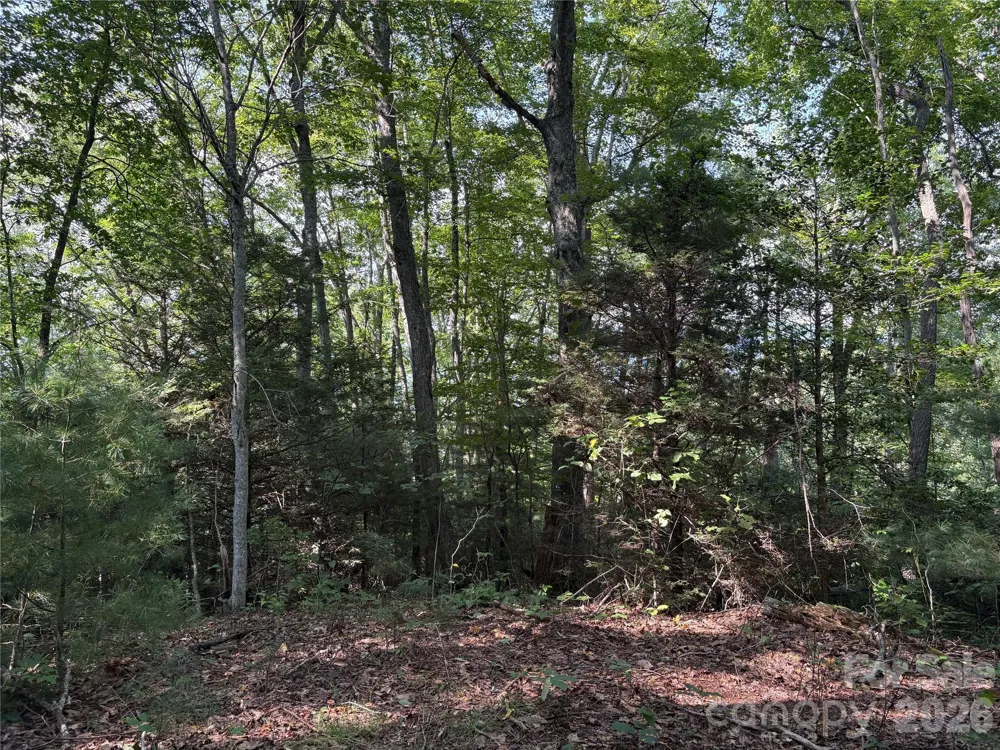 00 Early Frost Place #98 Waynesville, NC 28785