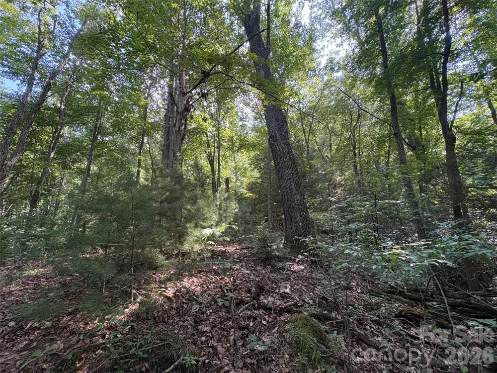 00 Early Frost Place #98 Waynesville, NC 28785