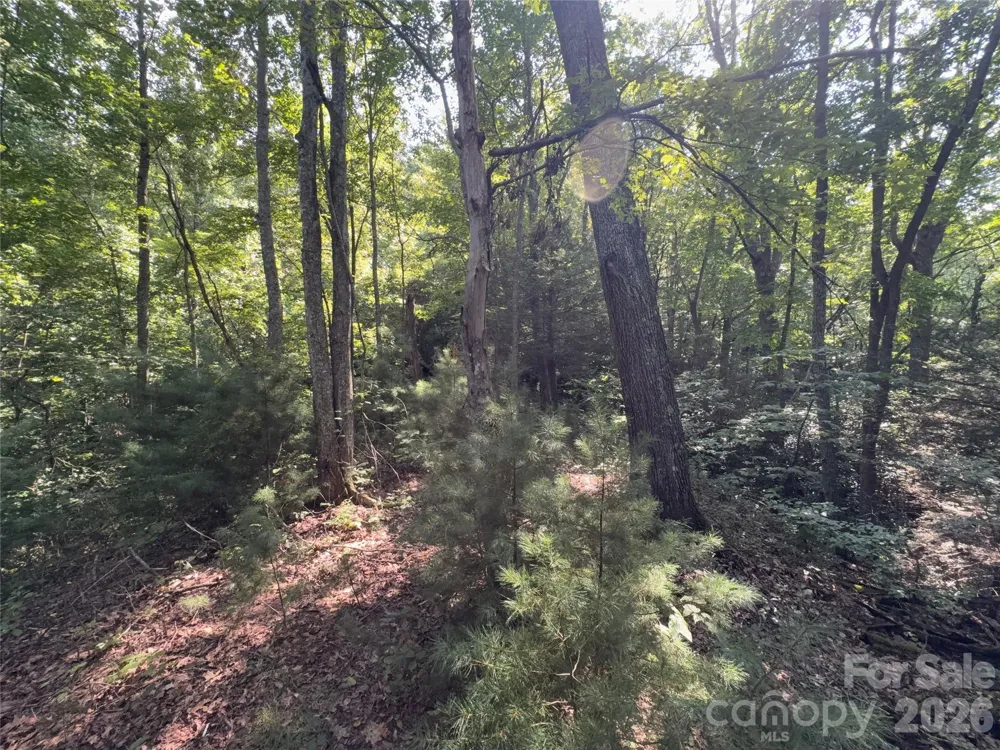 00 Early Frost Place #98 Waynesville, NC 28785