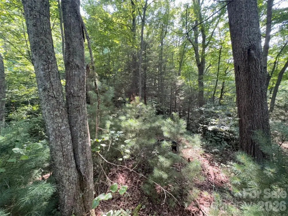 00 Early Frost Place #98 Waynesville, NC 28785